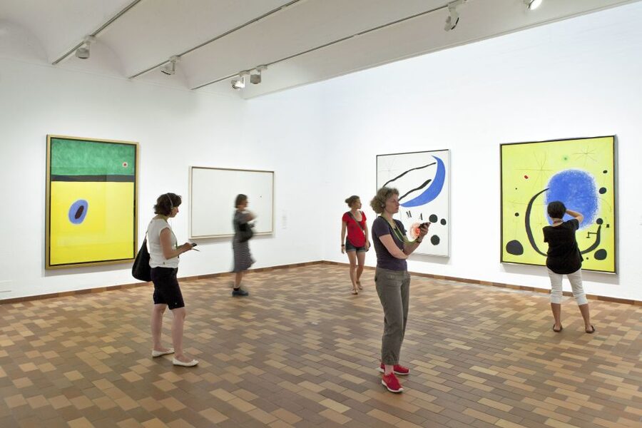 Barcelona: Fundació Joan Miró Skip-the-Line Entry Ticket - Temporary exhibitions at Espai 13, with emerging artists