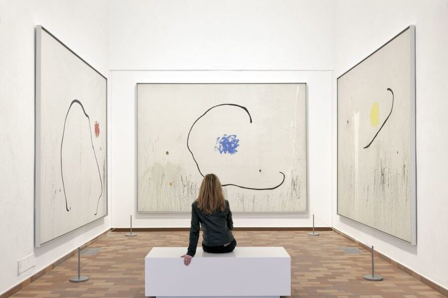Barcelona: Fundació Joan Miró Skip-the-Line Entry Ticket - Audio and video guides, and what you should bring