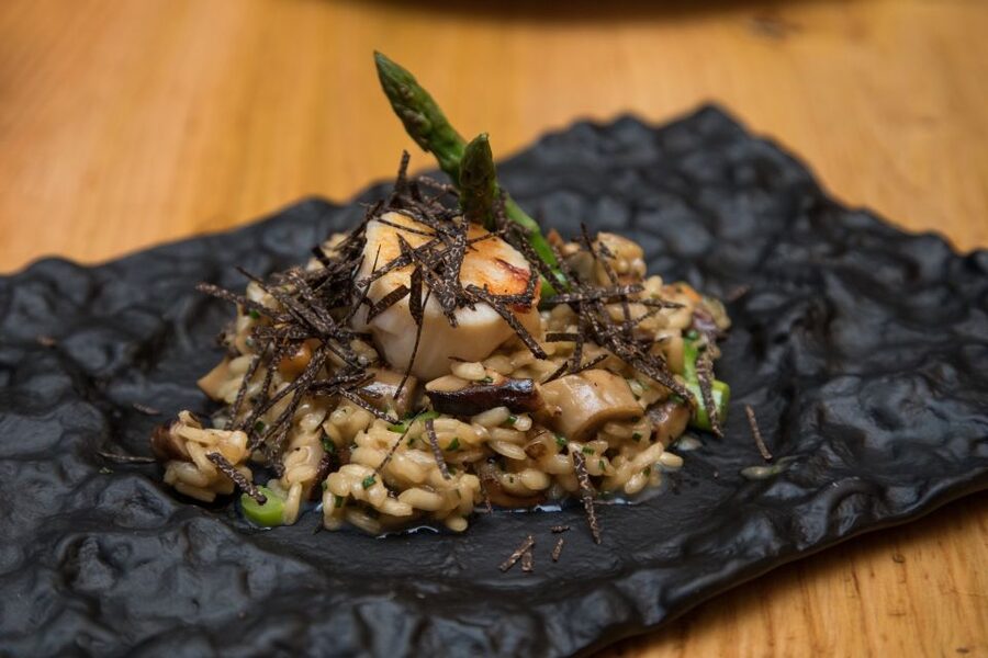 Barcelona Gourmet Food & Wine Tour with Local Expert - What to do before you go: practical tips that improve the night