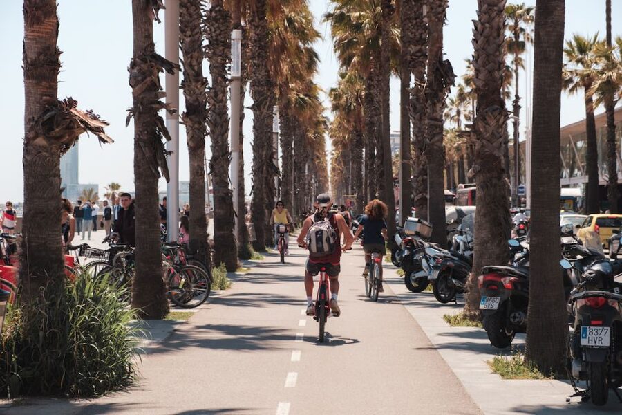 Barcelona: Guided Bike or E-Bike City Tour - Barcelona Cathedral and Palau de la Música Catalana: two styles, one city