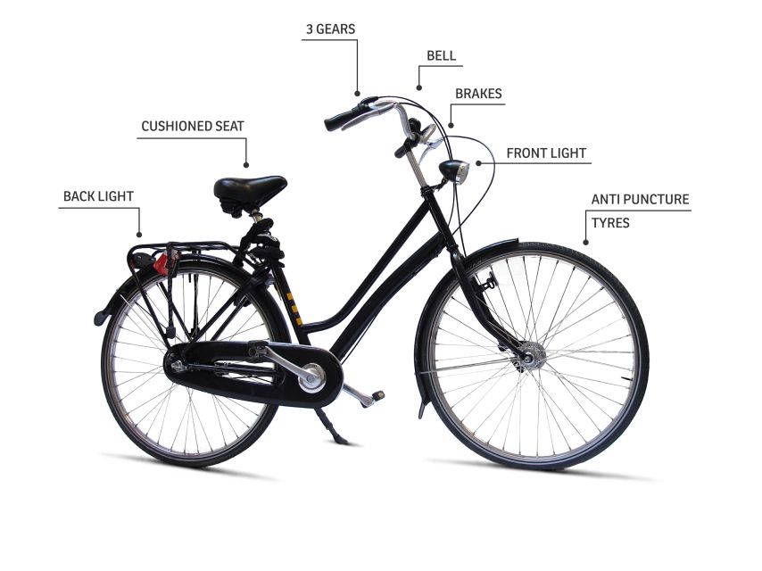 Barcelona Highlights Bike Tour: Cycle along the beach! - Safety, bikes, and the small-group rhythm that keeps it fun