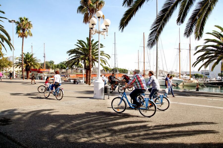 Barcelona Historical 3-Hour Bike Tour - Ciutadella Park and Arc de Triomf: a scenic reset between icons