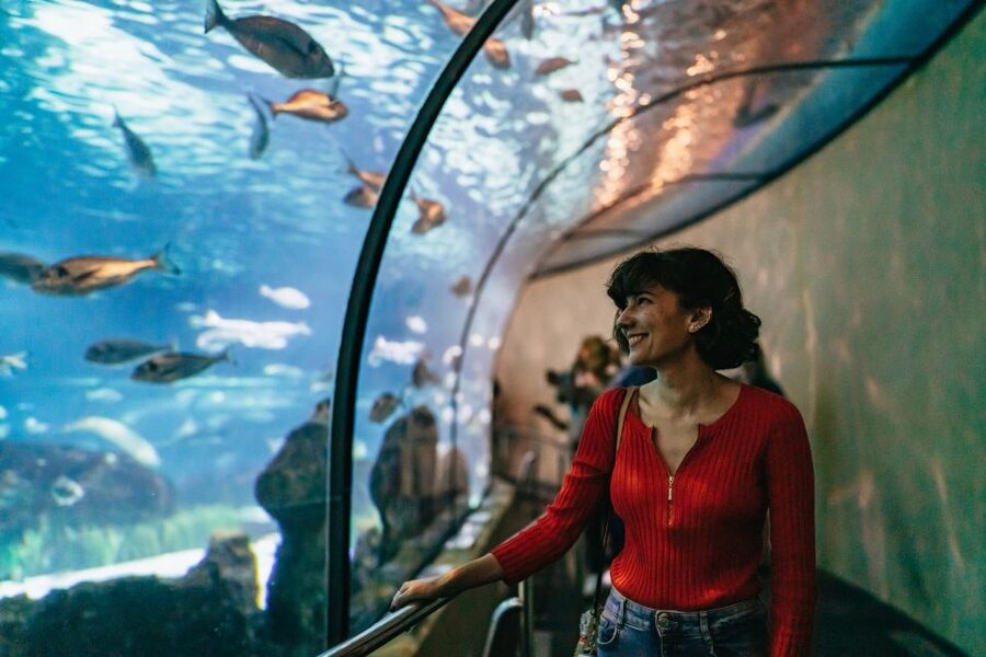 Barcelona: Hop-On Hop-Off Bus & Aquarium Tour - How the Hop-on Hop-off timing works for a first Barcelona visit