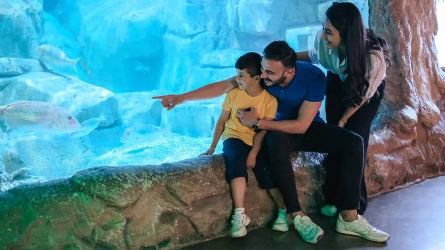 Barcelona: Hop-On Hop-Off Bus & Aquarium Tour - Route Orange highlights: Miró to Camp Nou, with Gaudí stops and port access
