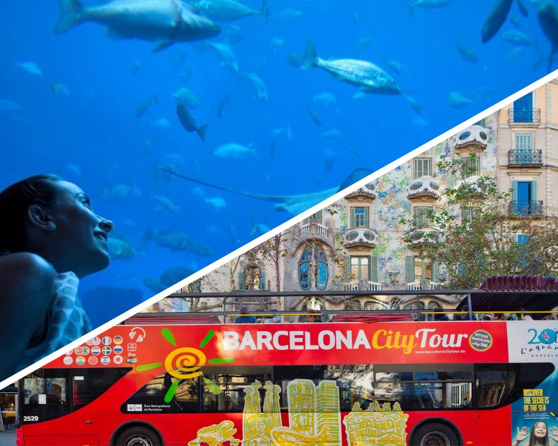 Barcelona: Hop-On Hop-Off Bus & Aquarium Tour - Starting at Plaça Catalunya, choosing the Orange or Green route