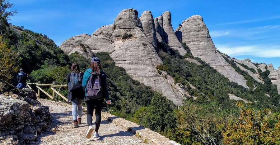 Barcelona: Montserrat Monastery & Hiking Off the Beaten Path - Free time at the farmers market: where the day turns local