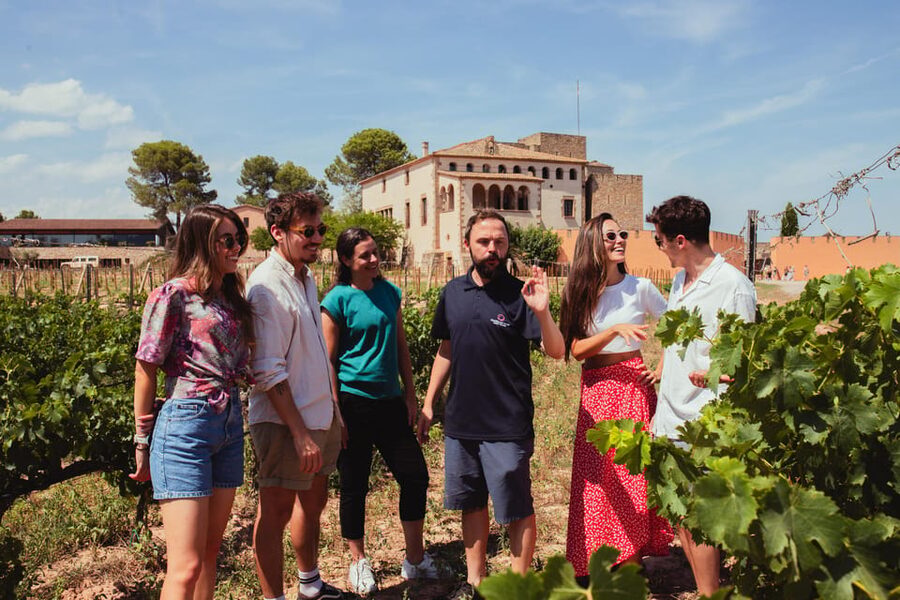 Barcelona: Montserrat with Winery, Lunch, and Train Options - Winery Lunch in a 10th-Century Castle: Tastings, Cellar Visits, and Catalan Food