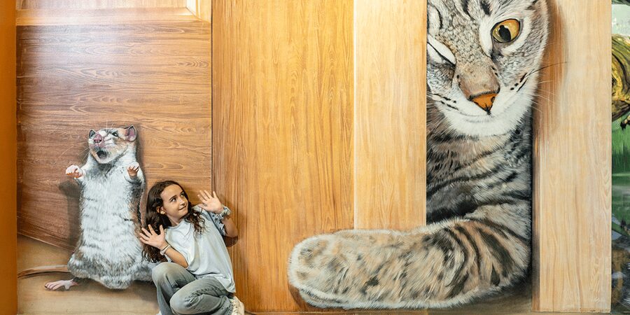 Barcelona: Museum of Illusions– Interactive & Fun Experience - Photo tricks with dinosaurs and the Grand Canyon