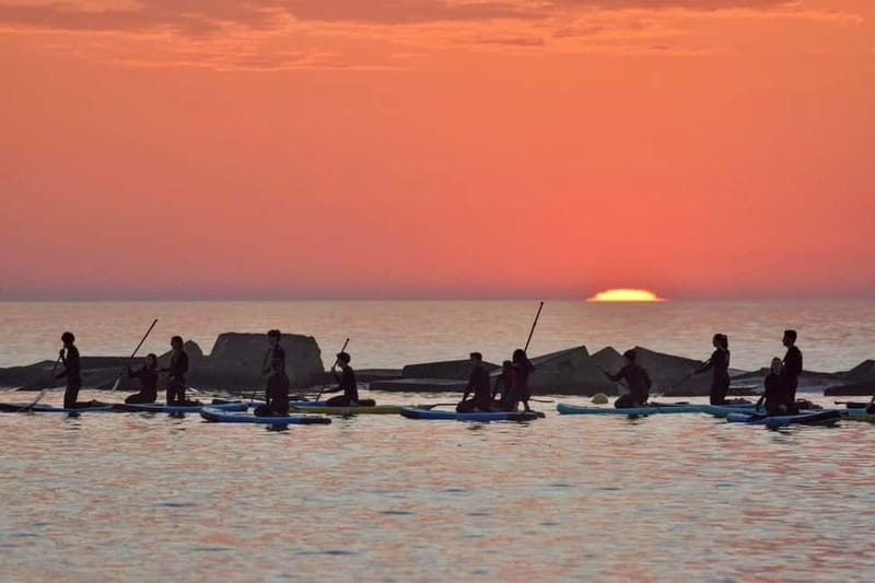 Barcelona: Paddleboarding at Sunrise. Includes: instructor, photos, equipment - Sunrise paddleboarding on the Mediterranean: what makes it special