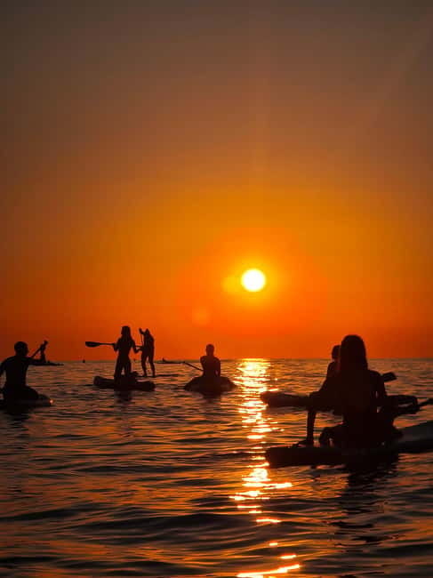 Barcelona: Paddleboarding at Sunrise. Includes: instructor, photos, equipment - Before you get on the board: land warm-ups and technique coaching