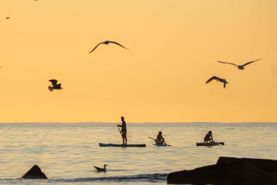 Barcelona: Paddlesurf Rental Barceloneta beach (75min) - Barceloneta paddleboarding is a simple way to see the sea up close