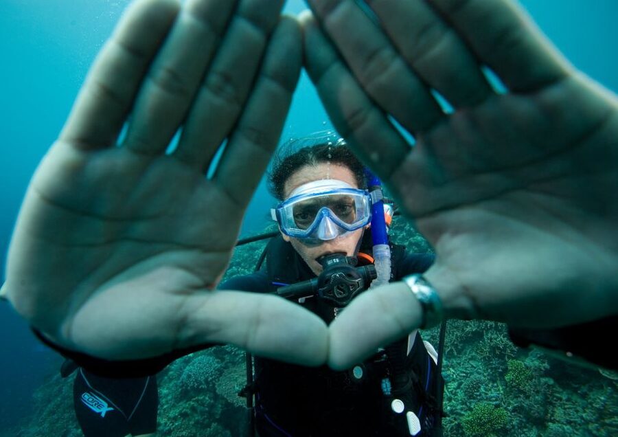 Barcelona: PADI Discover Scuba Diving - Marine life in Barcelona: what you might see and what to expect visually