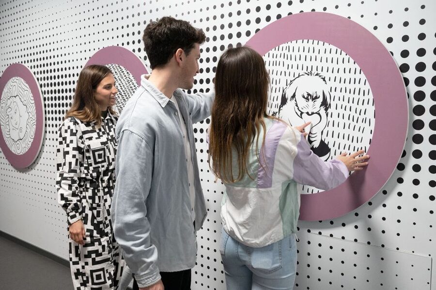 Barcelona: Paradox Museum Entry Ticket - Camouflage Room and Paradox Tunnel: Why These Tricks Feel Personal
