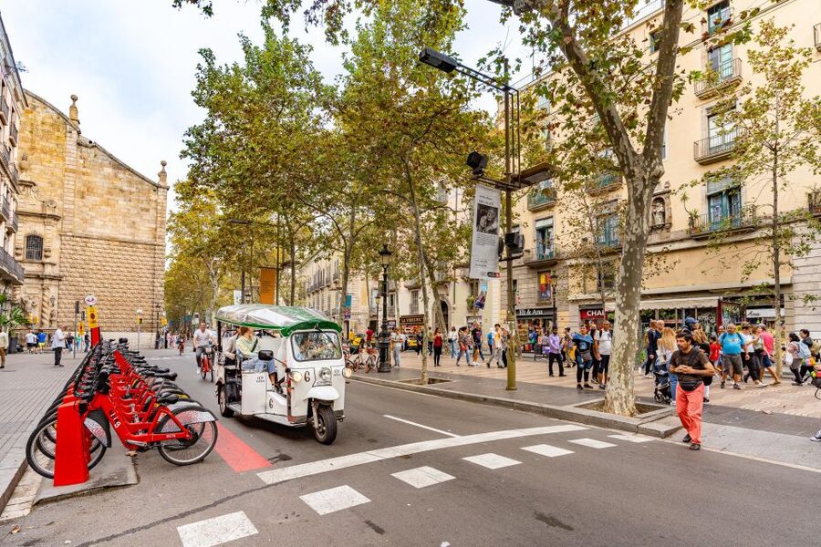 Barcelona: Private City Tour by Eco Tuk Tuk - Olympic Port and the 1992 story: Barcelona beyond the old town