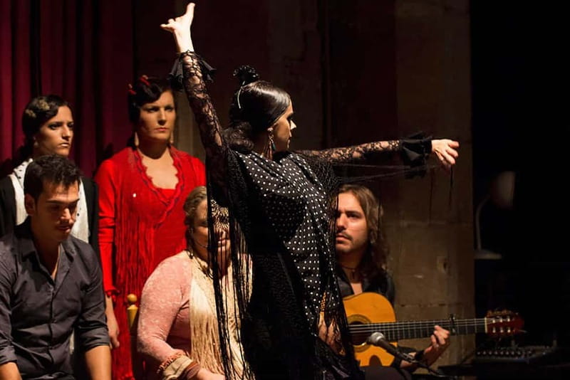 Barcelona: Private Tapas & Wine with Flamenco Show Old Town - Flamenco at Palau Dalmases: why the room changes the show
