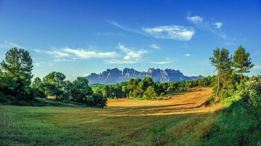 Barcelona: Sagrada Familia & Montserrat Full-Day with Pickup - Small-group comfort: up to 16 guests and real guide energy