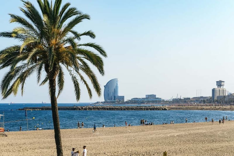 Barcelona: Sagrada Familia or City Tour by Bike or eBike - Choosing 11am vs 4pm: Gaudí morning or beach and older quarters