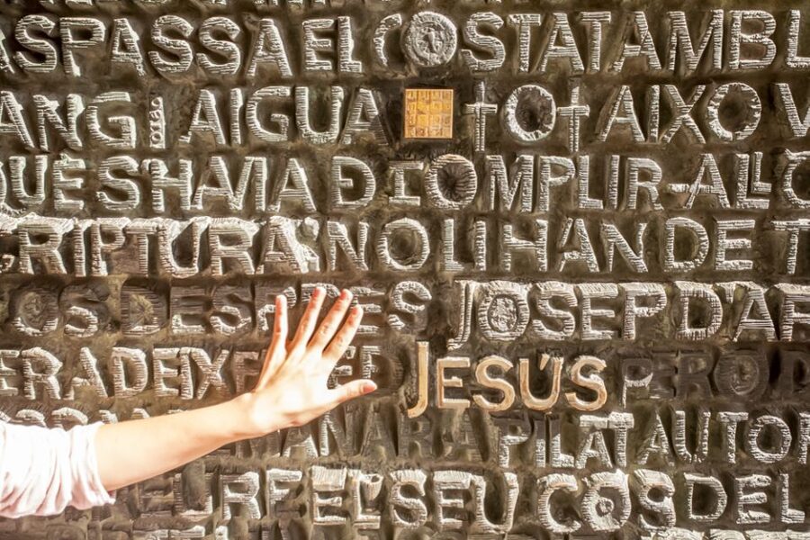 Barcelona: Sagrada Familia Tour with Optional Tower Access - Price and Value: Is $99 Fair for Skip the Line and Tower Access?