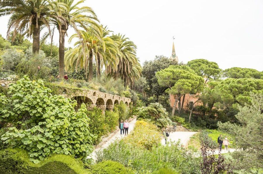 Barcelona: Sagrada Familia with Towers and Park Güell Tour - The towers: elevator up, breathtaking views, and what can go wrong
