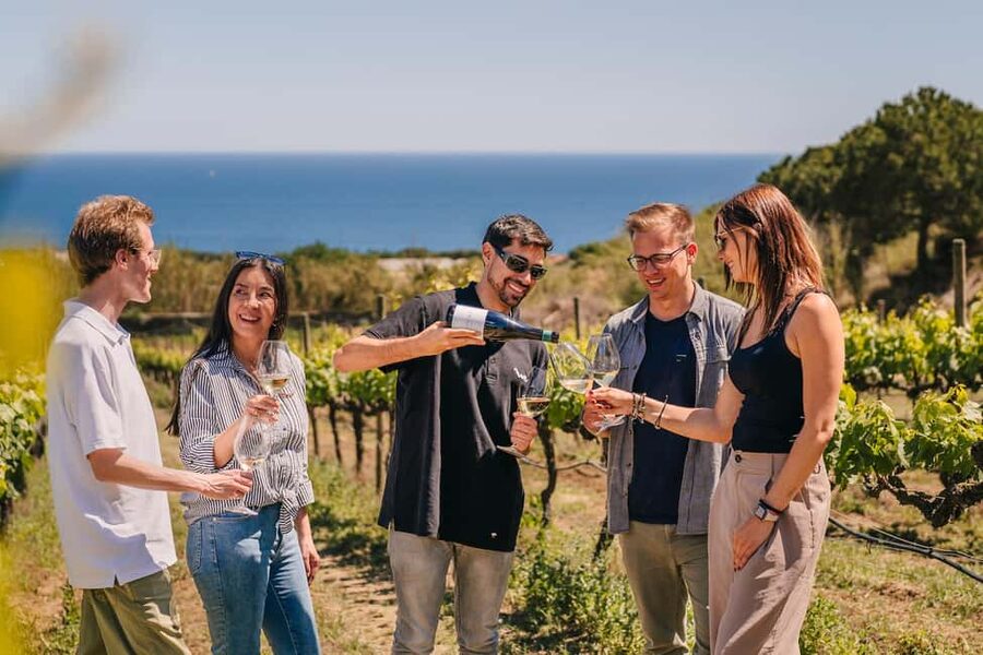 Barcelona: Sailing Cruise & Vineyard Tour with Wine Tasting - Key things you will notice on this cruise and Alella wine tour