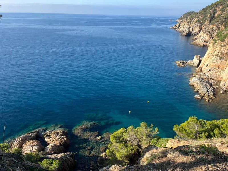 Barcelona: Tossa de Mar & Costa Brava boat, very small group - Your afternoon: swim, relax, and make the choice yourself