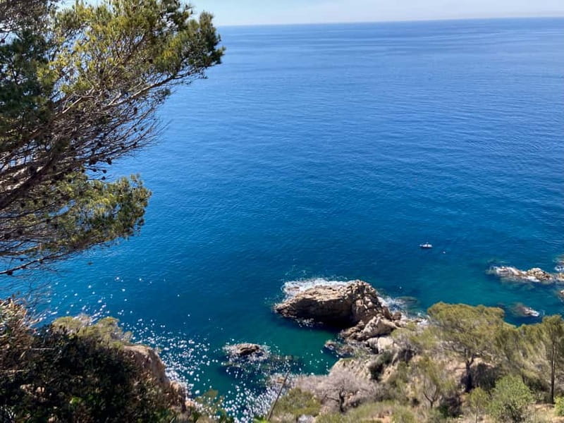Barcelona: Tossa de Mar & Costa Brava boat, very small group - Getting back to Barcelona without feeling rushed