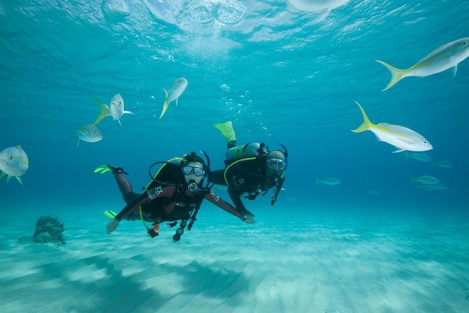 Beginners Scuba Diving Experience in Gran Canaria - Entering The Center: Where The Day Starts In Las Palmas
