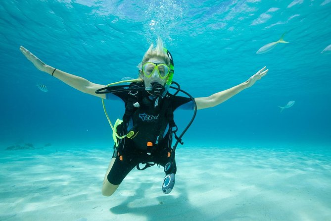 Beginners Scuba Diving Experience in Gran Canaria - Paperwork, Health Check, And The Flying Rule