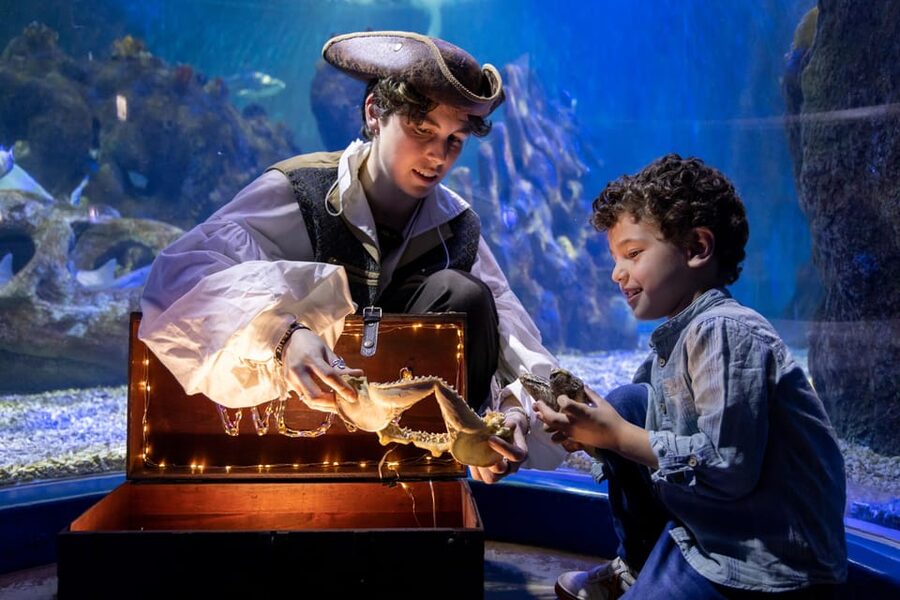Benalmadena Aquarium Visit - Key highlights you should circle