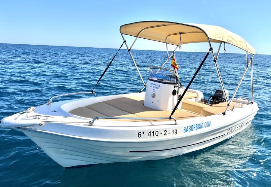 Benalmádena: Costa del Sol License-Free Boat Rental - Dolphin Watching: How to Get Close Without Acting Wild