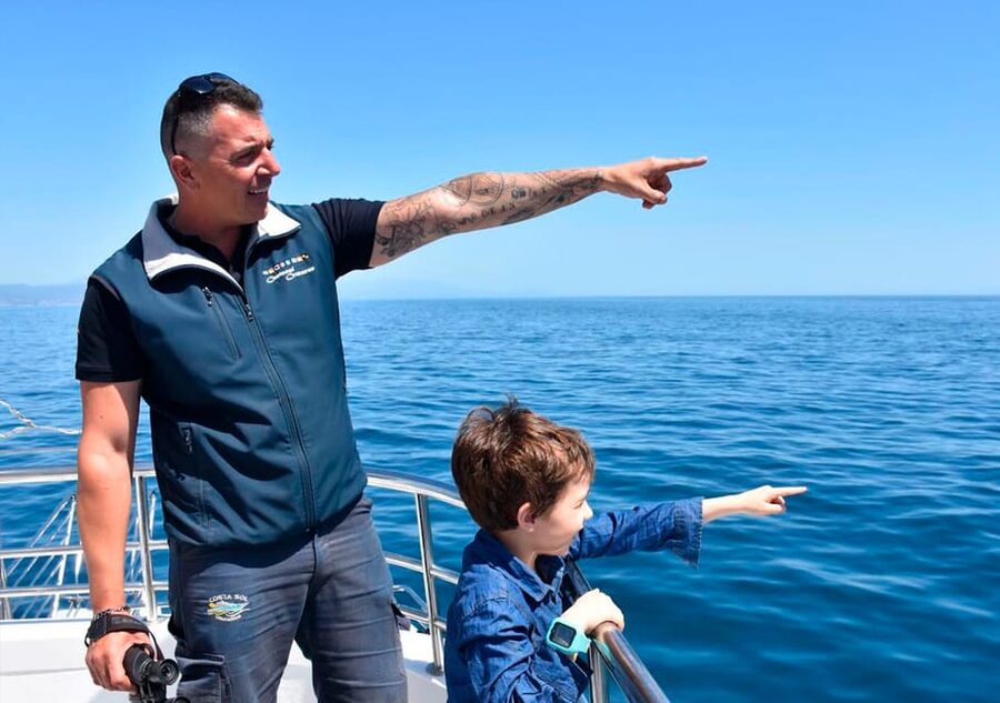 Benalmadena: Dolphin Watching Boat Tour - How dolphin spotting actually works here