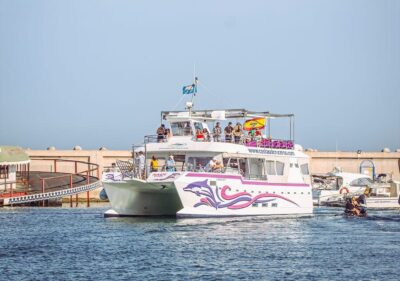 Benalmadena: Dolphin Watching Boat Tour