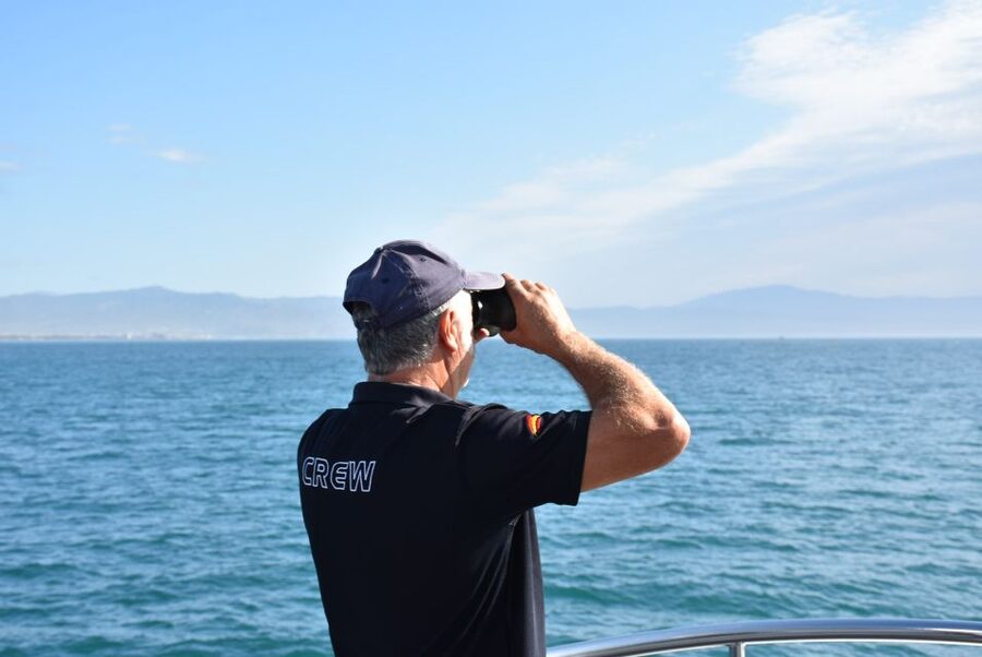 Benalmadena: Dolphin Watching Boat Tour - The New Magic experience: underwater windows, shade, bar, and music