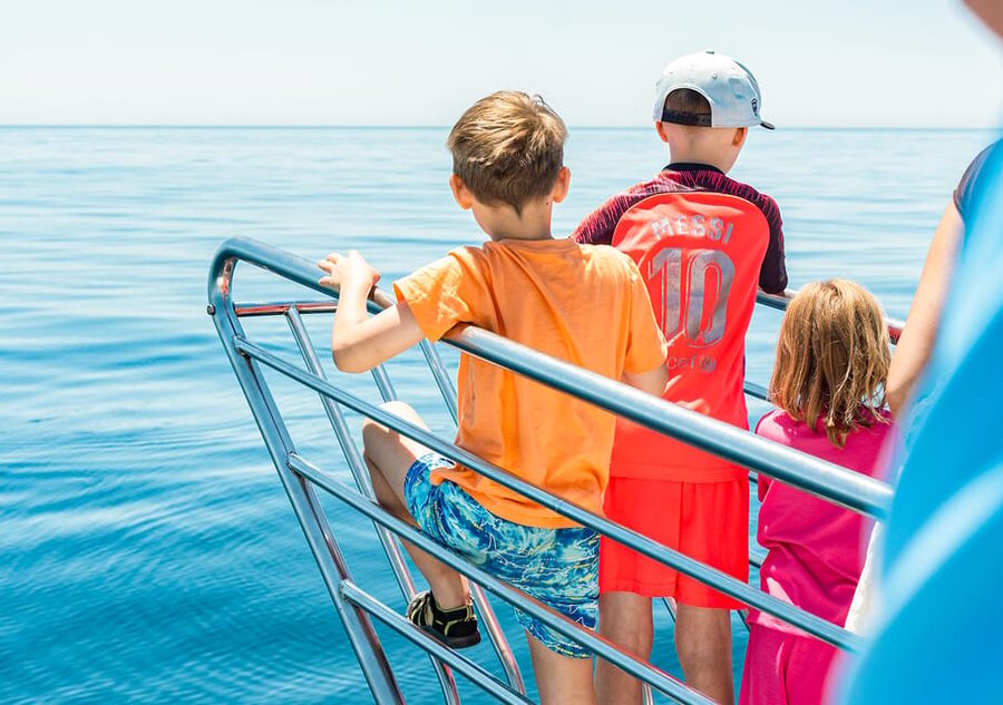 Benalmadena: Dolphin Watching Boat Tour - The swim stop in summer: the bonus after dolphin time