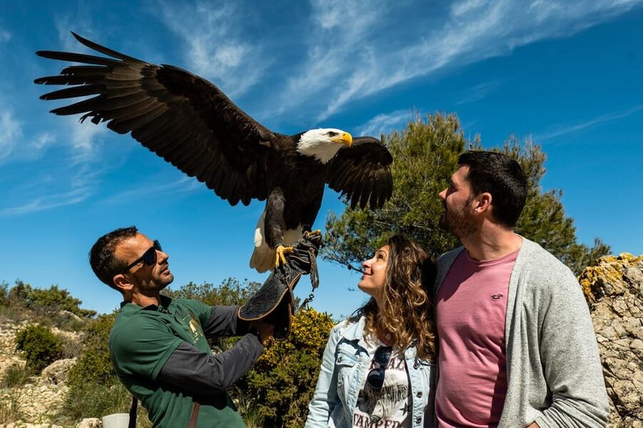Benalmádena: Mount Calamorro Cable Car Ticket - The Bird of Prey Show and Food Stops: Optional Extras That Many People Love