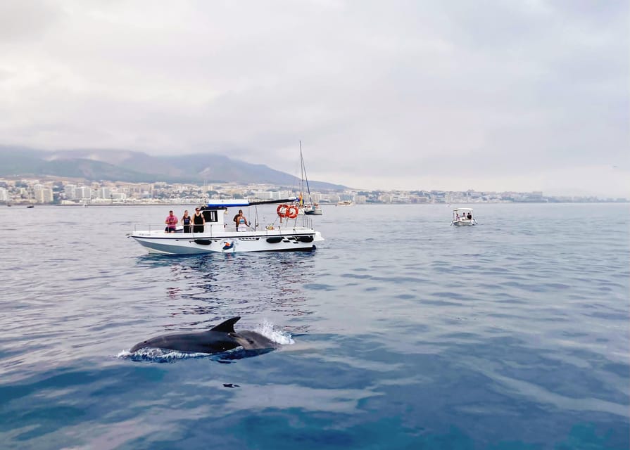 Benalmadena: Private Boat Trip – Dolphins, Drinks & Snacks - Where you start: Benalmádena’s Port and finding your berth fast