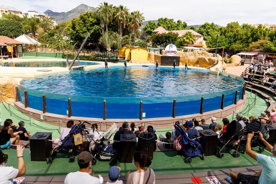 Benalmadena: Selwo Marina Admission Ticket - Value for money: why the $18 ticket can feel fair