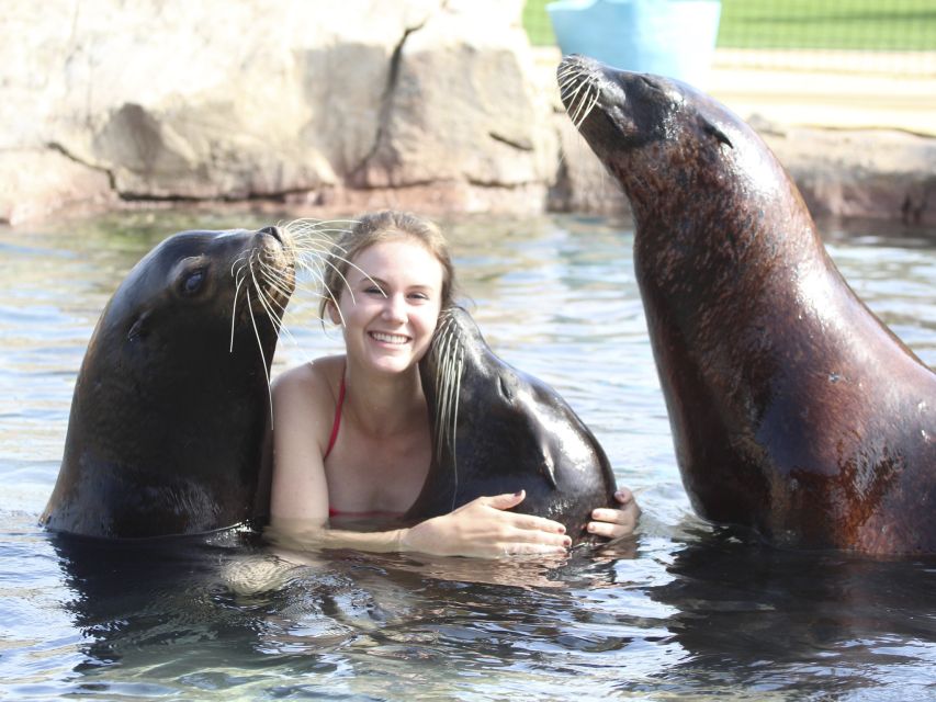 Benidorm: Aqua Natura Amusement Park 1-Day Entry Ticket - Getting there from Benidorm and timing your day for shorter lines