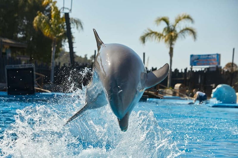 Benidorm: Mundomar Animal Park Entrance Ticket - Key highlights you should know