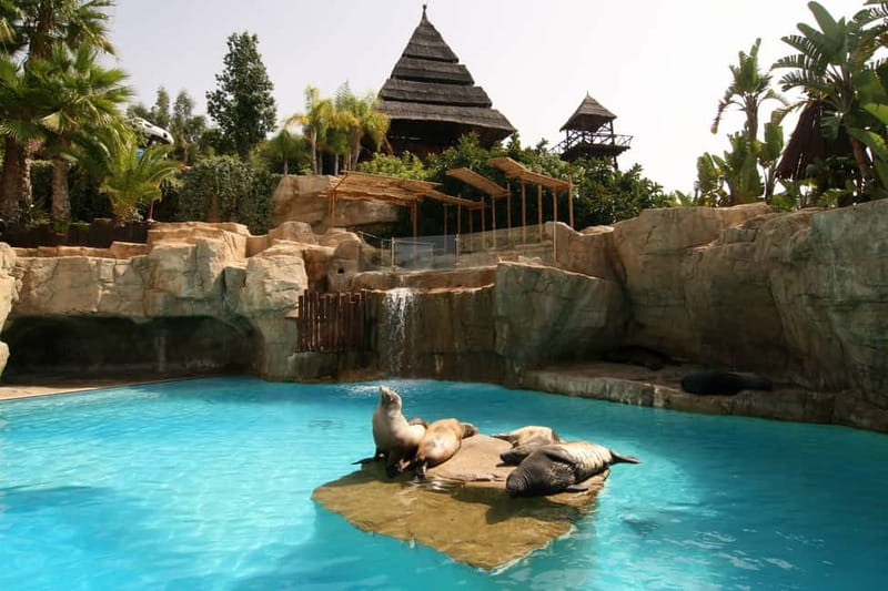 Benidorm: Mundomar Animal Park Entrance Ticket - Opening Hours and the Best Way to Time Your Day