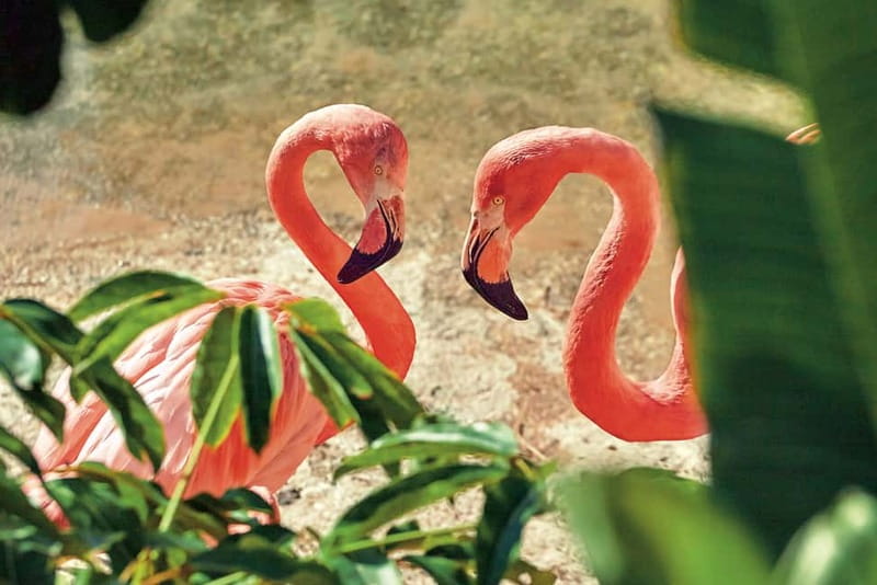 Benidorm: Mundomar Animal Park Entrance Ticket - Park Layout, Benidorm Views, and Getting Your Bearings