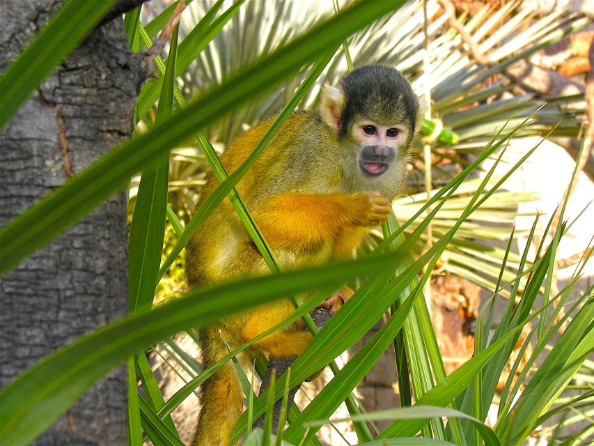 Benidorm: Terra Natura Theme Park 1-Day Tickets - A modern wildlife park plan that actually works in one day