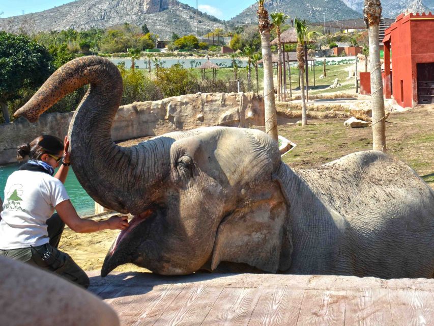 Benidorm: Terra Natura Theme Park 1-Day Tickets - The one-day schedule: how to structure your time