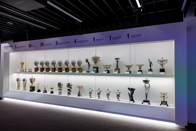 Bernabeu Stadium & Real Madrid Museum Guided Tour - Panoramic view and the stadium’s modern transformation