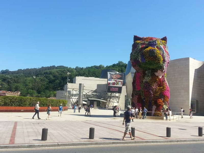 Bilbao: Guggenheim Bilbao museum in spanish Ticket included - Frank Gehry in plain terms: why the architecture matters inside too