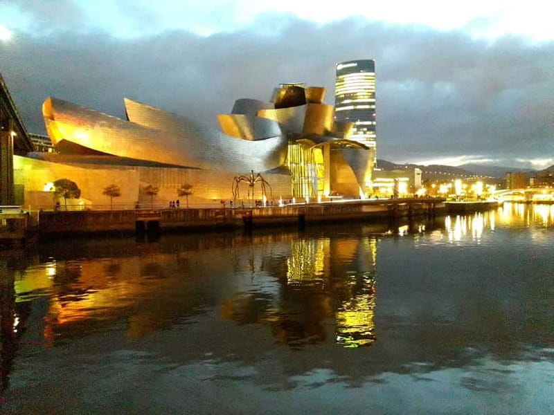 Bilbao: Guggenheim VIP Experience. Small Group. Expert Guide - Who this VIP Guggenheim tour suits best