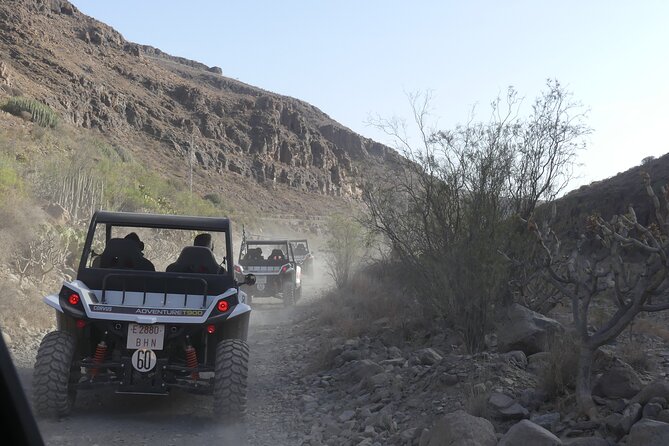 Buggy Tour Gran Canaria - Down through the reservoir, then bamboo, palms, and prickly pears