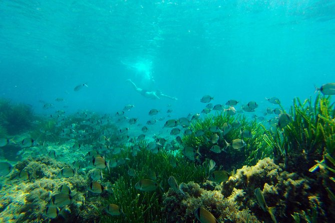 Cabo de Gata Active. Guided kayak and snorkel route through coves of the Natural Park - Gear and Safety: What’s Included (and Why It Matters)
