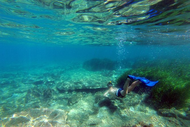 Cabo de Gata Active. Guided kayak and snorkel route through coves of the Natural Park - Getting There From Almería: The Real Logistics Test