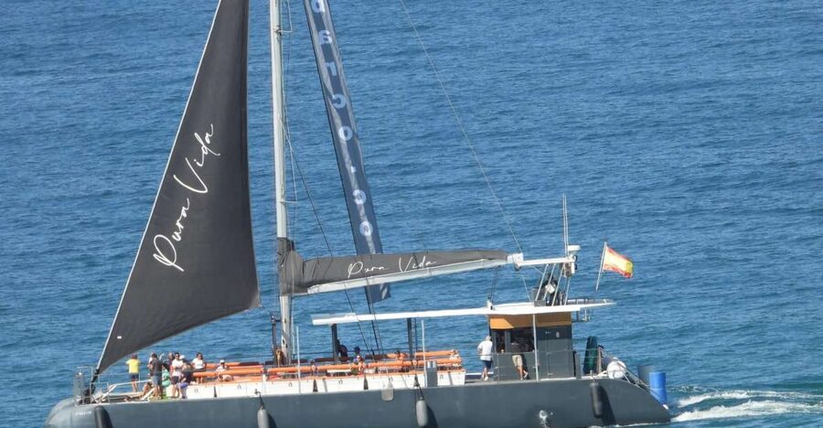 Cádiz: Bay of Cádiz Catamaran Tour with Host - Key Highlights You’ll Actually Notice